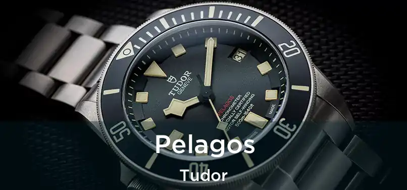  Pelagos Tudor